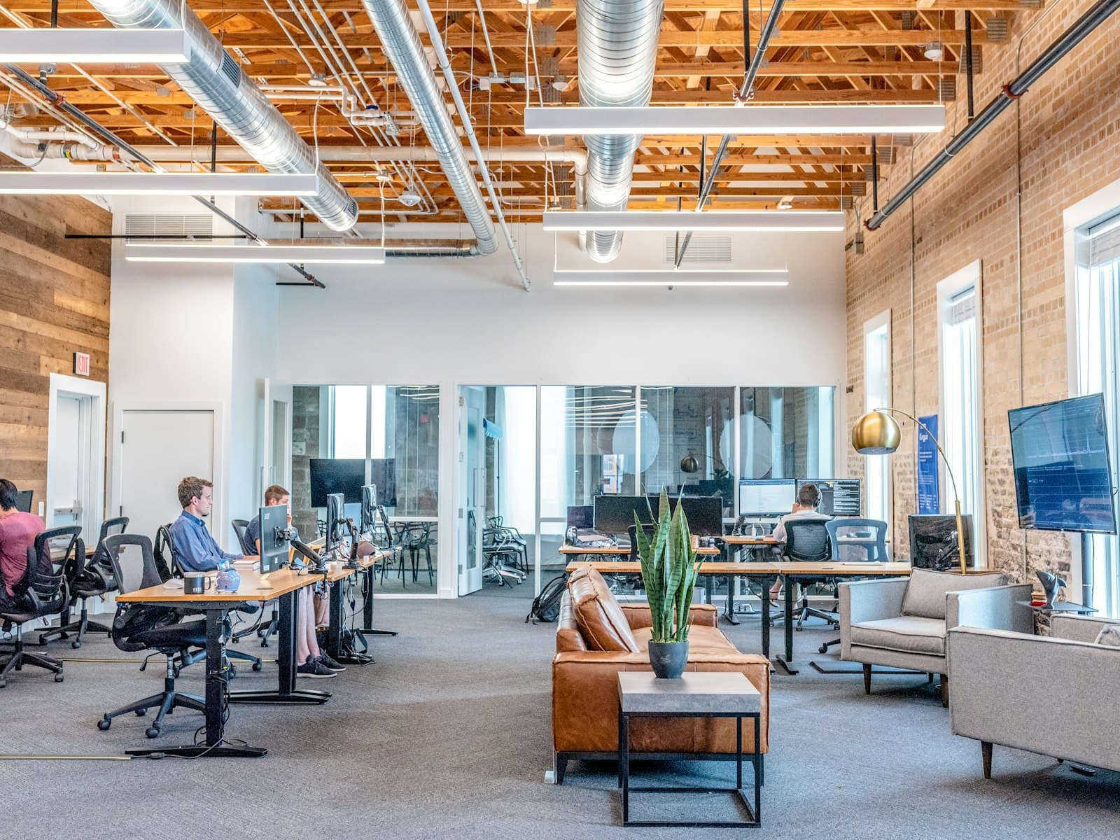 A bright, calm studio where people are building
